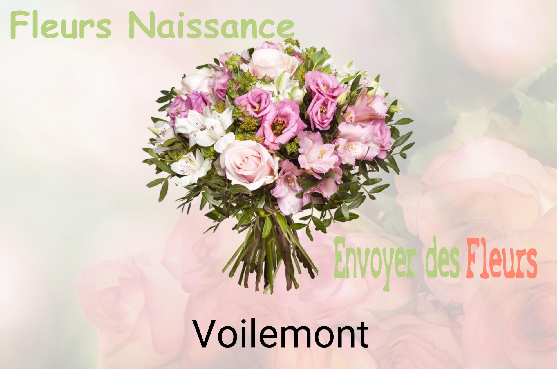 Bouquet de fleurs de naissance livré à Voilemont
